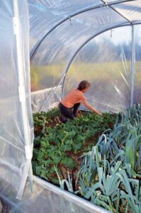 Grow More Food in a Portable Greenhouse Image